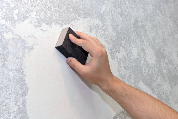 Best Biohazard Mold Removal  in Orchards, WA
