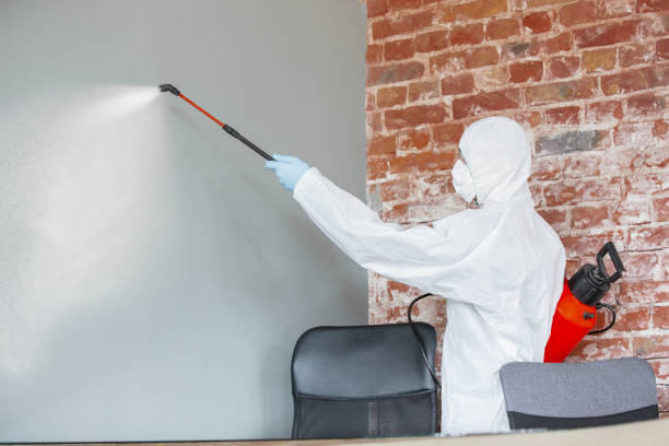 Best Industrial Mold Remediation  in Orchards, WA