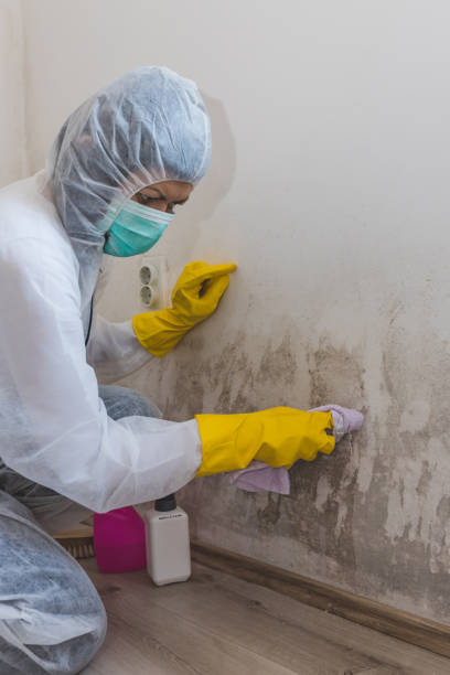 Best Real Estate Mold Inspection  in Orchards, WA