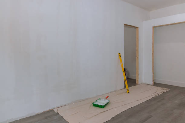 Professional Mold Removal in Orchards, WA