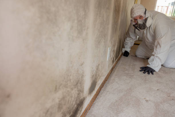 Best Emergency Mold Remediation  in Orchards, WA